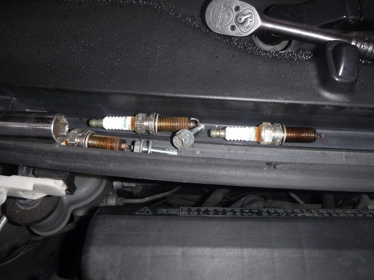 ファイル 2065-2.jpg