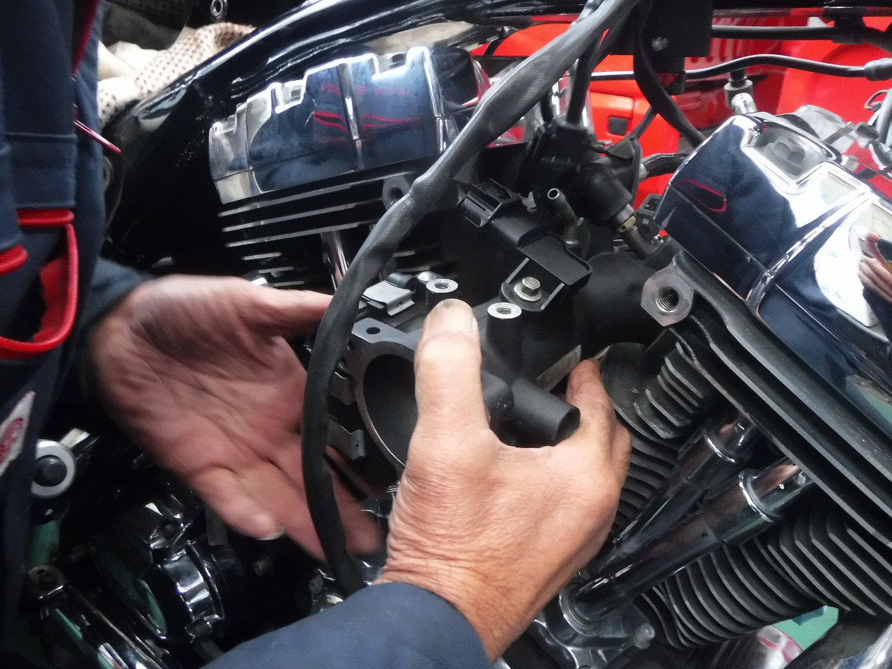 ファイル 2067-1.jpg