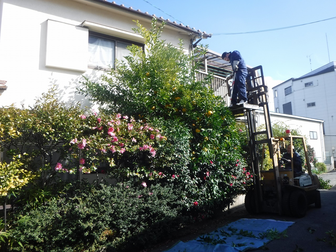 ファイル 2074-1.jpg