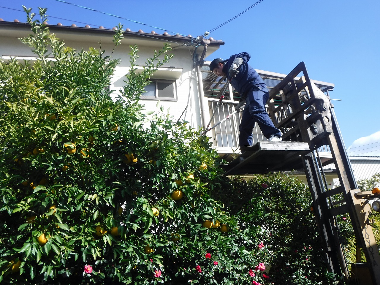 ファイル 2074-2.jpg