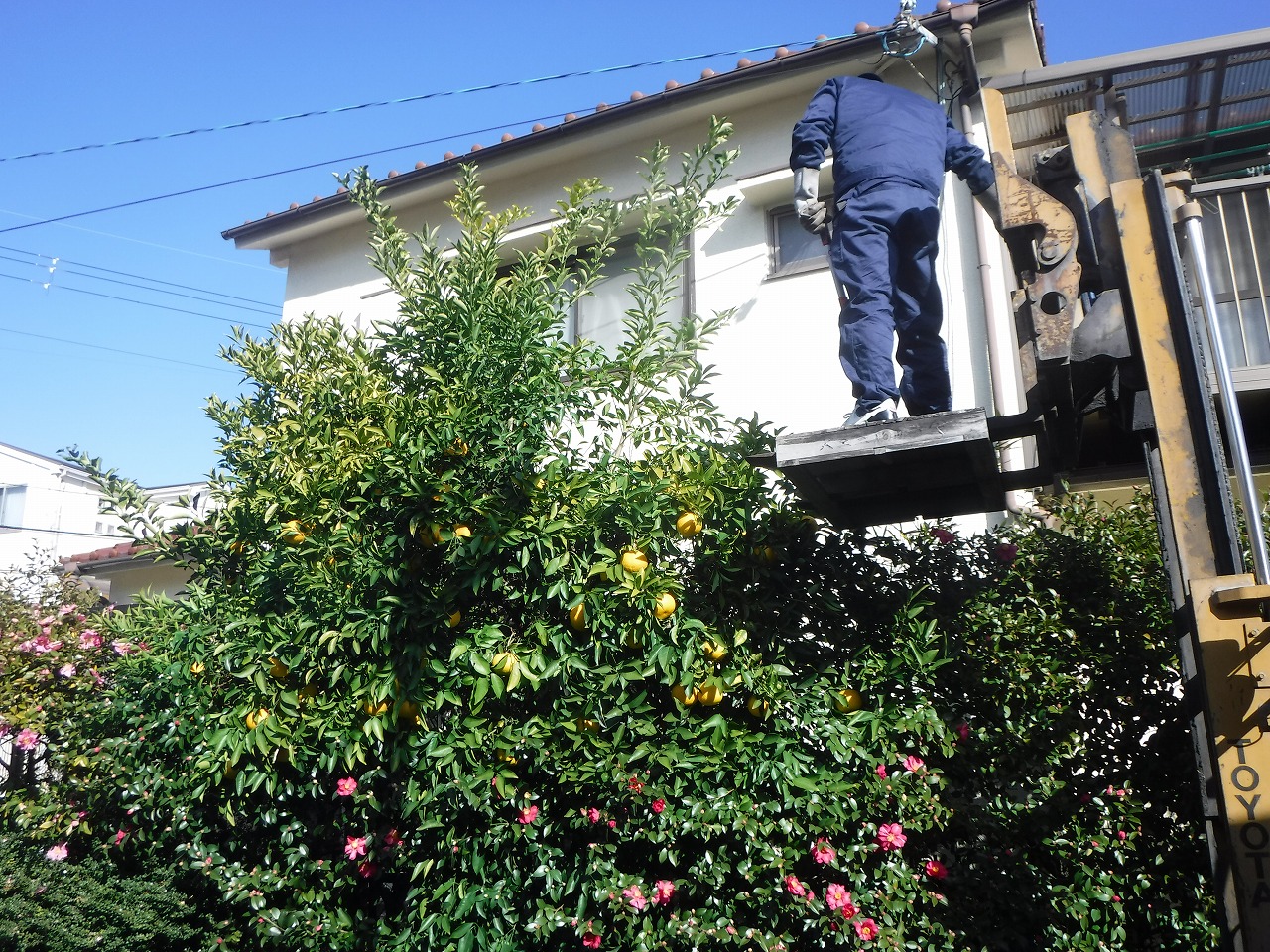 ファイル 2074-3.jpg