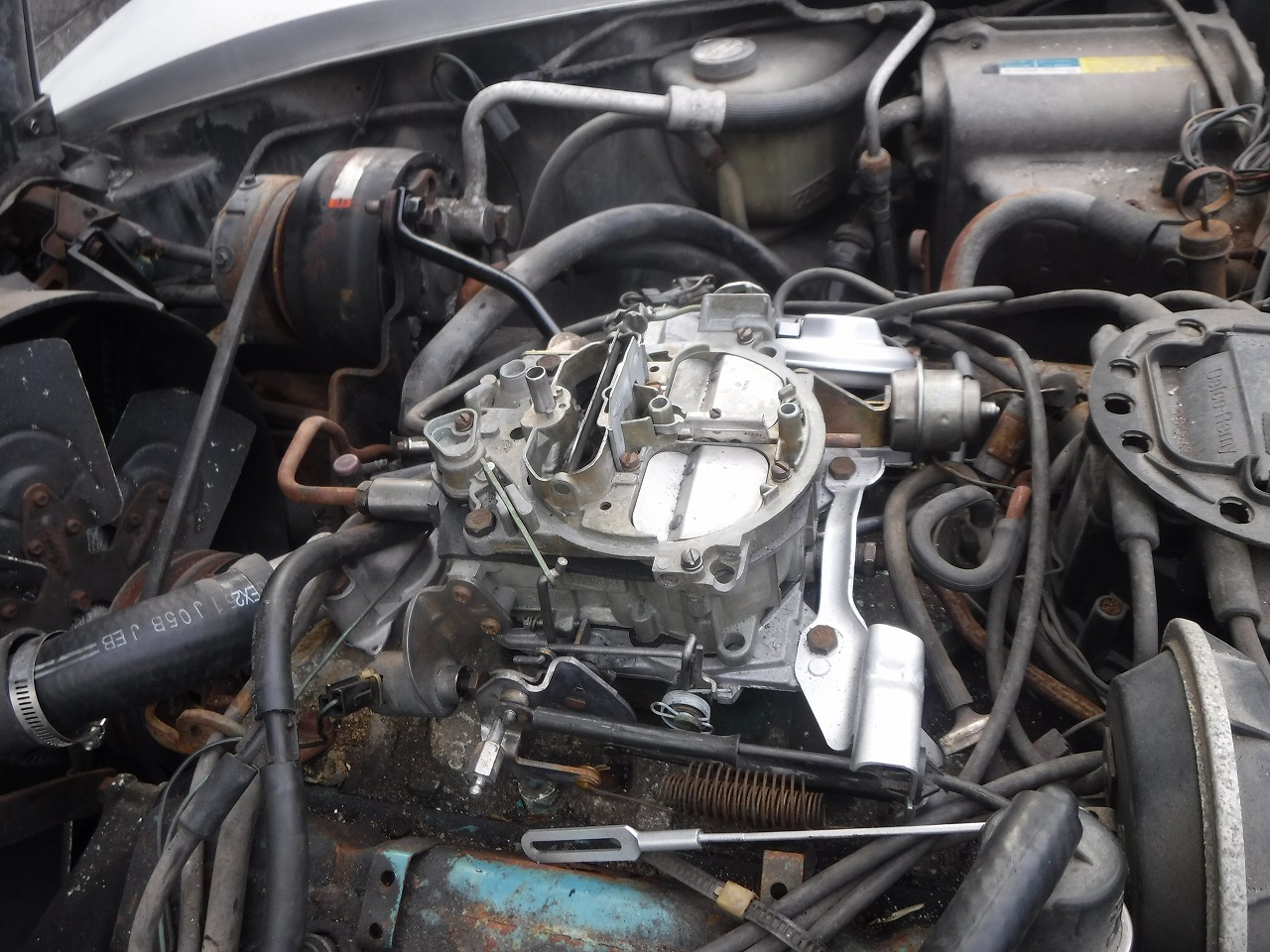 ファイル 2075-1.jpg