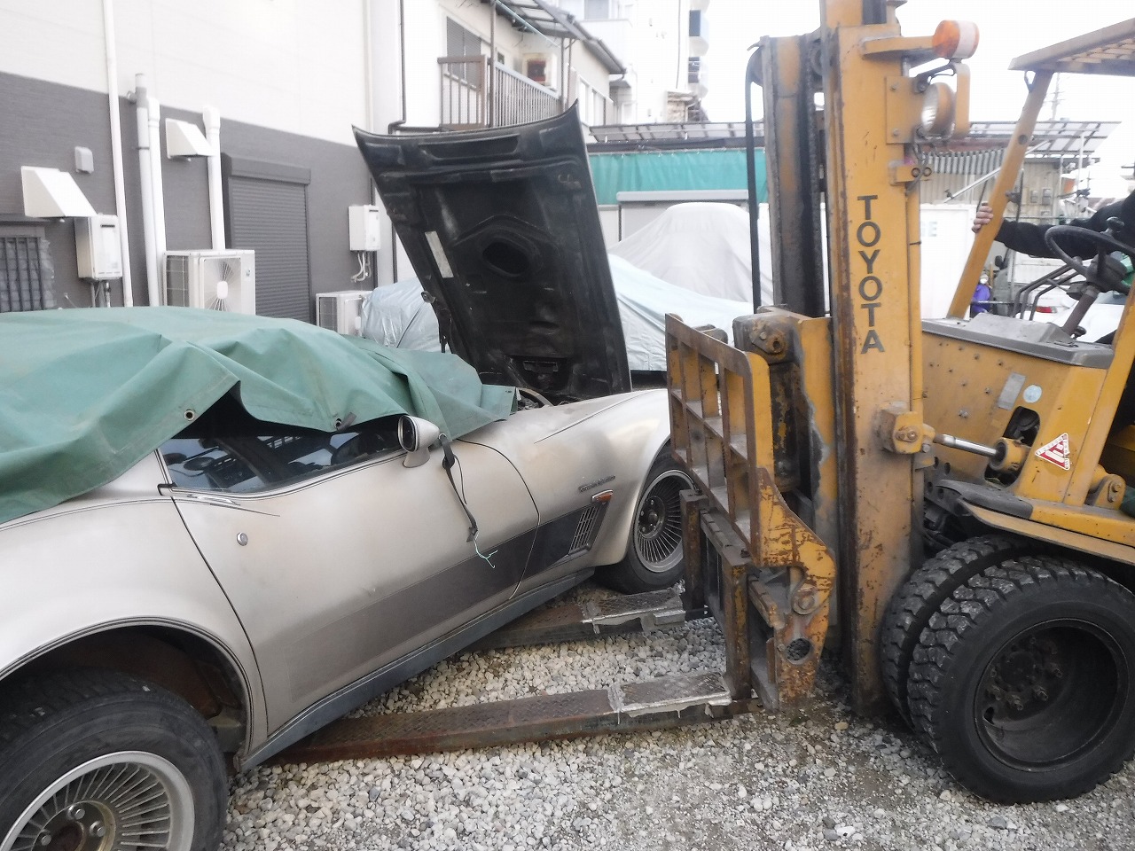 ファイル 2076-1.jpg