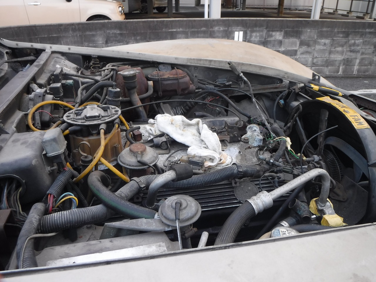 ファイル 2077-4.jpg