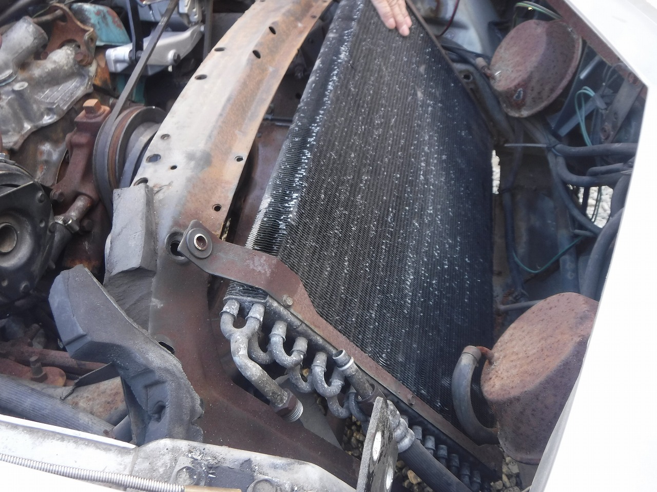 ファイル 2082-1.jpg