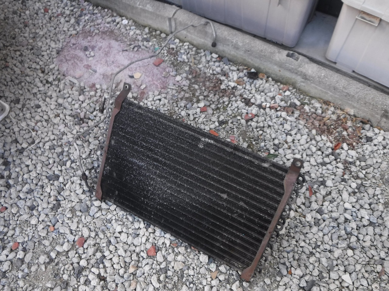 ファイル 2082-2.jpg