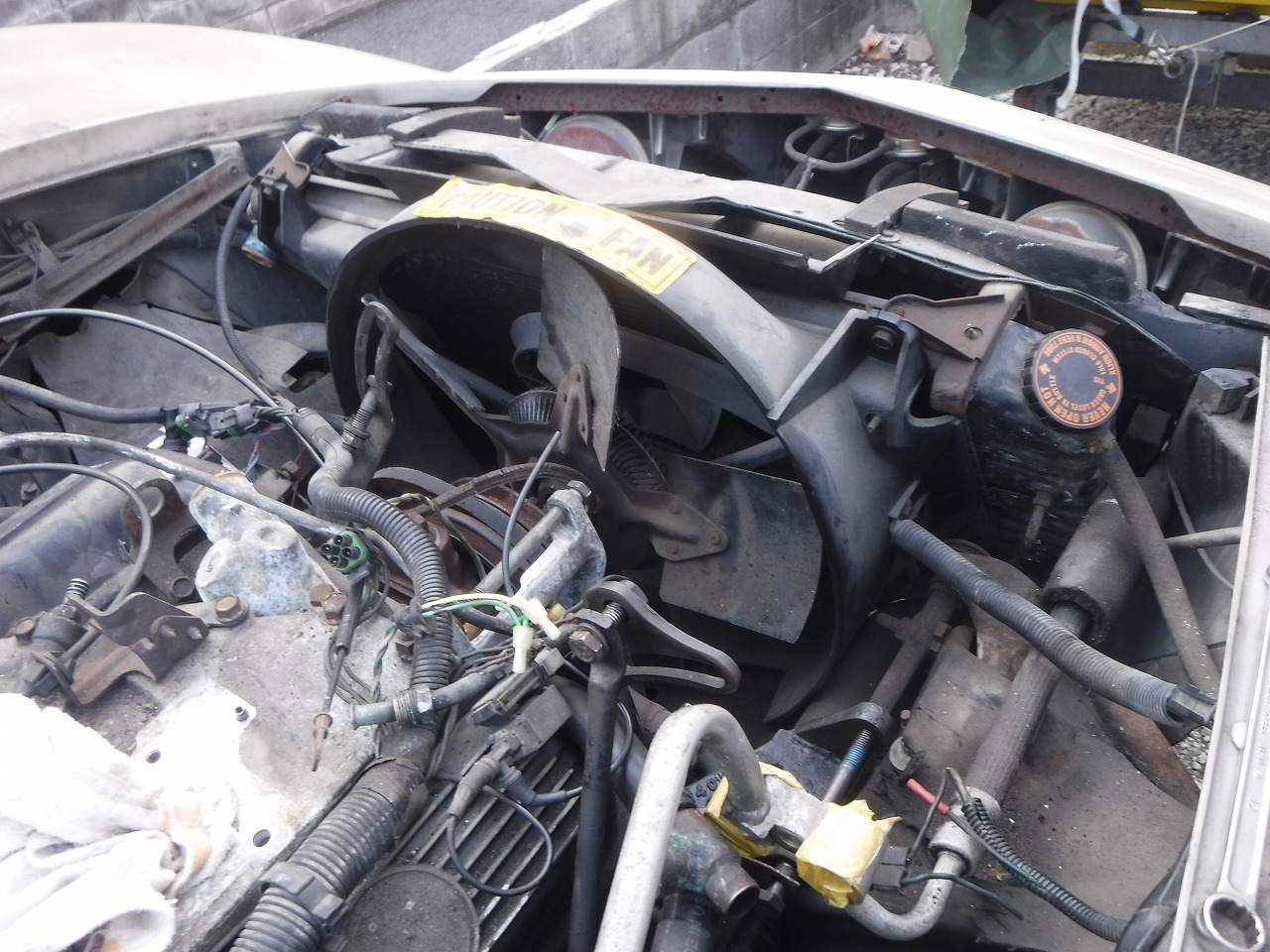 ファイル 2093-1.jpg