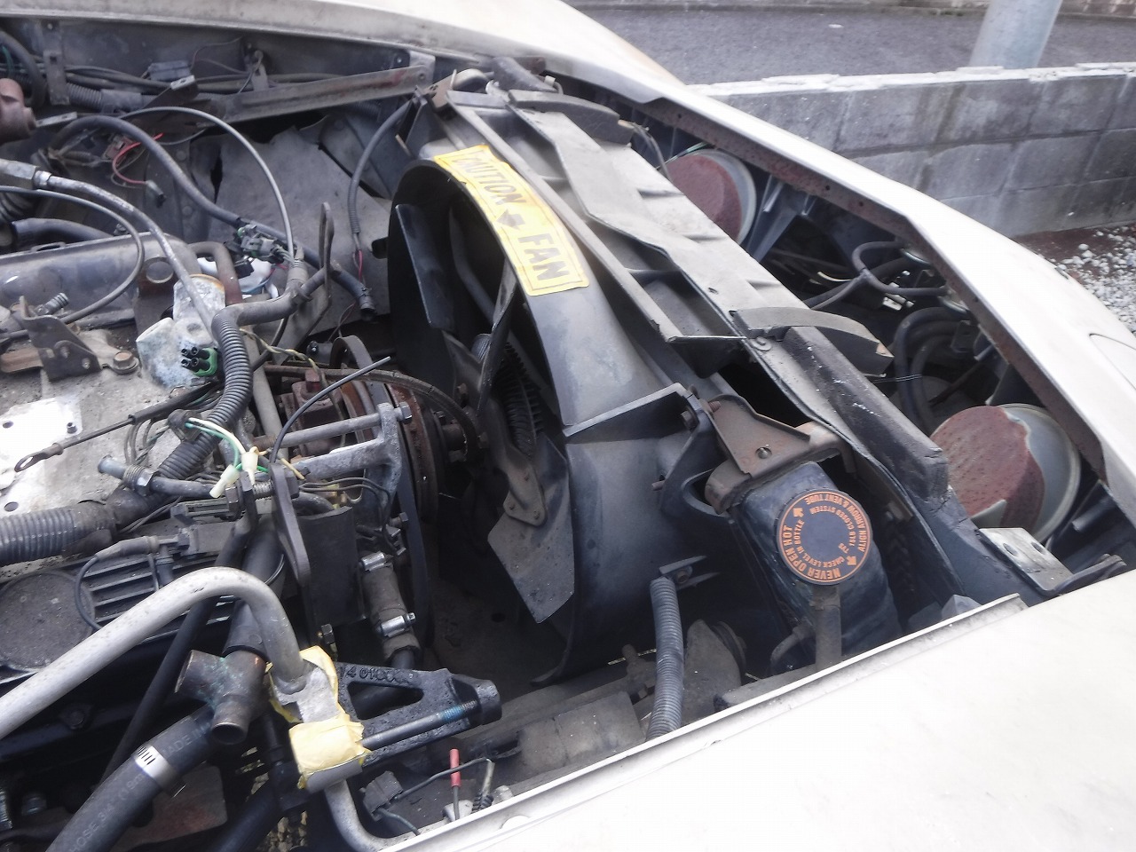 ファイル 2093-2.jpg