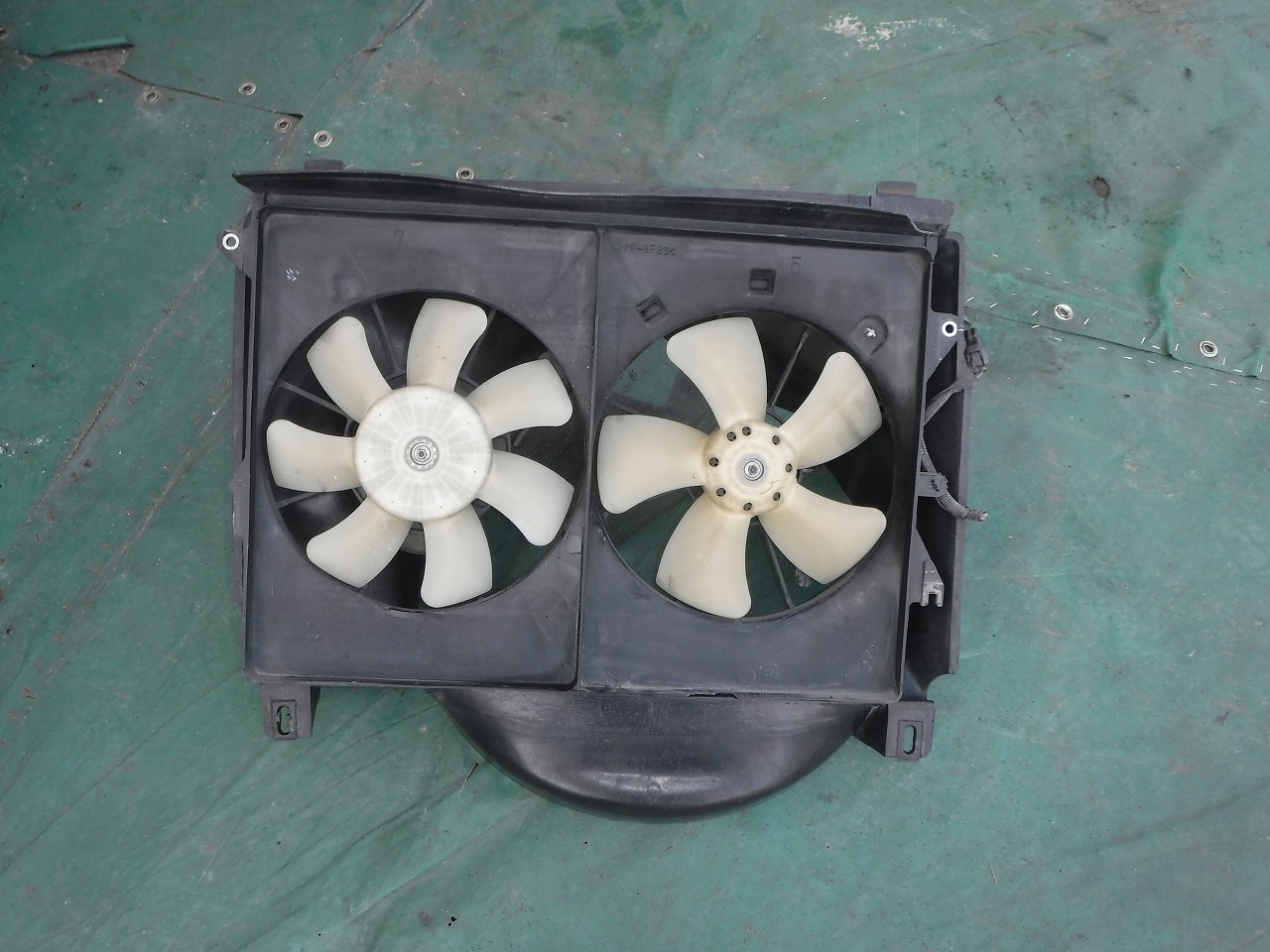 ファイル 2094-5.jpg