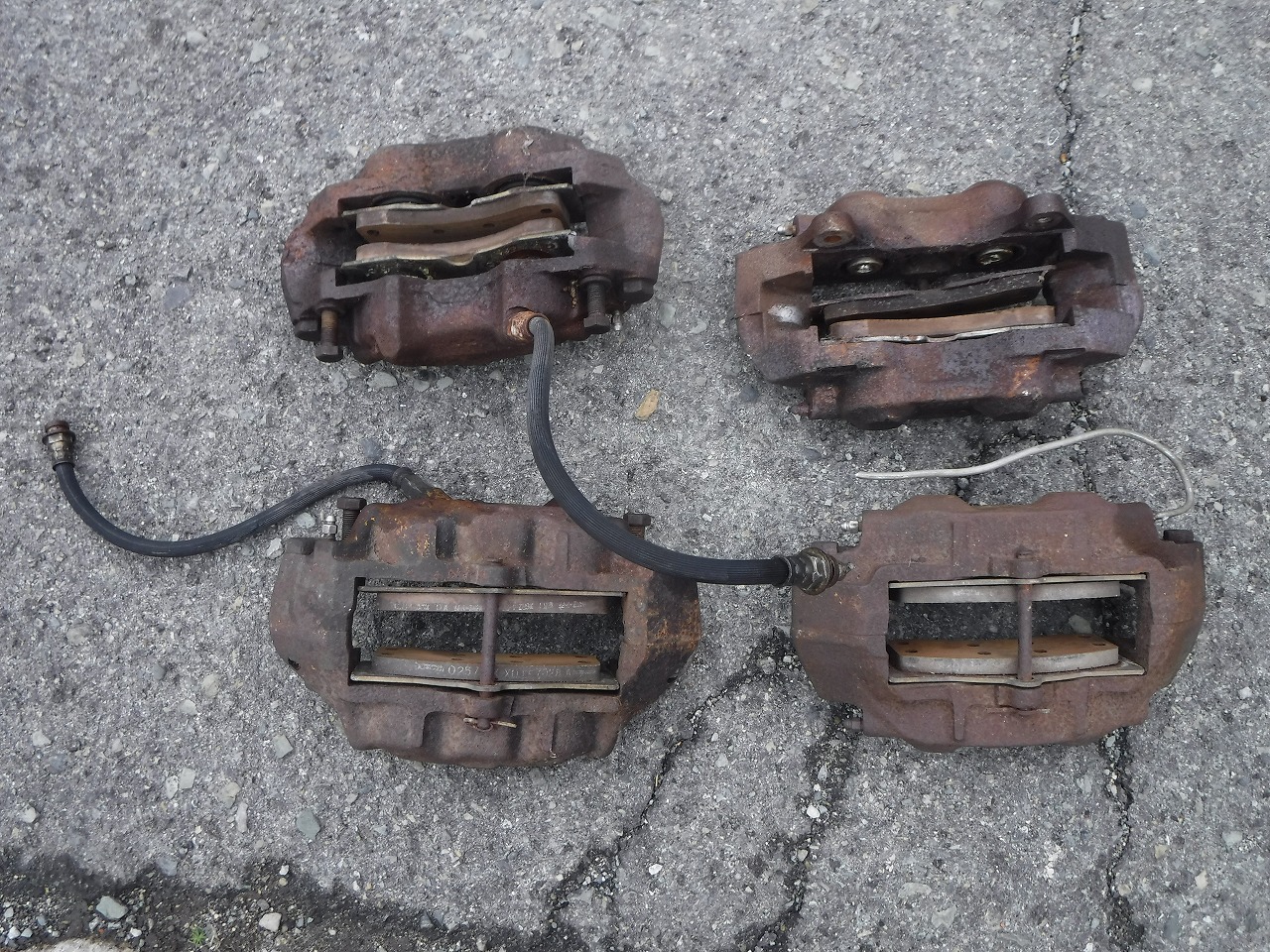 ファイル 2097-1.jpg